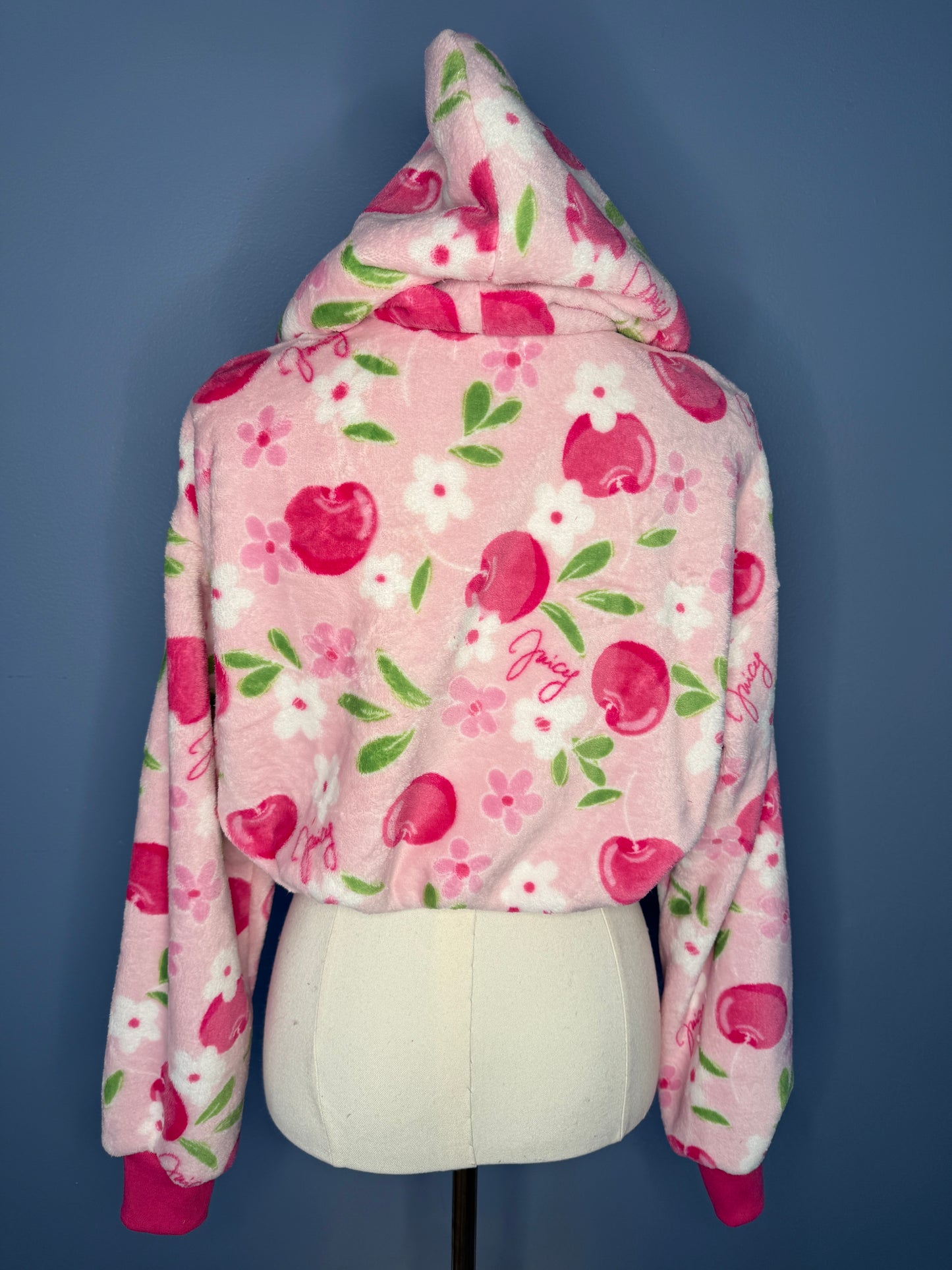 Size-Small Cropped Fuzzy Hoodie